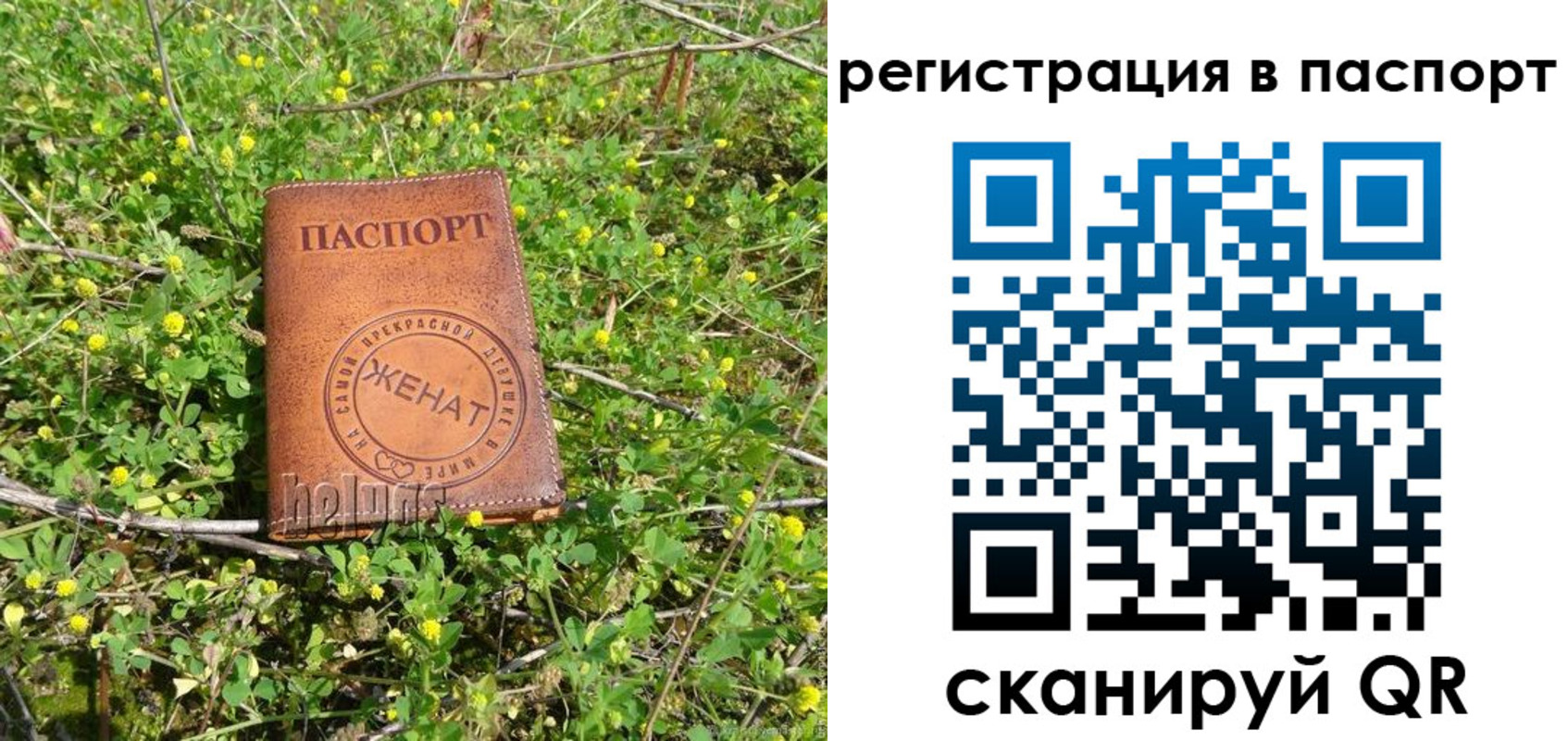 прописка законно в Агрызе